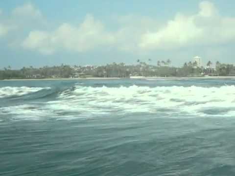 Private Surf Lessons Hawaii – Oahu, Ala Moana (next Waikiki), North Shore River Stand Up Paddle
