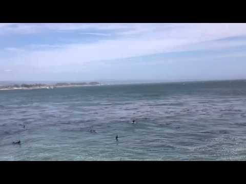 Surfing Competition – Men Warm Up