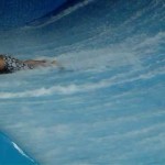 Waterpark surfing fails tony