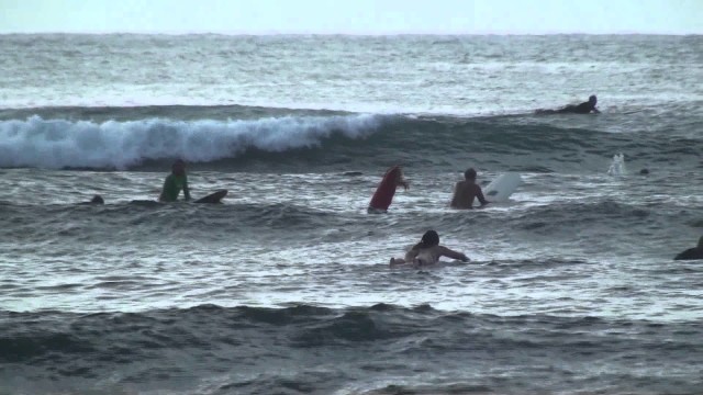 Hawaii Surf Lessons by Hawaii Eco Divers & Surf Adventures