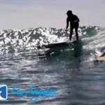 Los Angeles Surf Lessons school