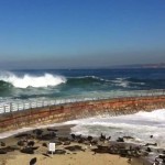 Big Waves Surf in La Jolla Children’s Pool Seal Beach