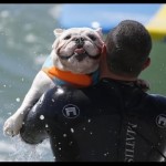6th Annual Surf City Surf Dog Contest in Huntington Beach