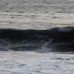 longboard surfing on NEW Dolsey Bam Bam ..