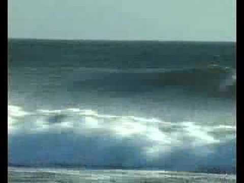Davidino, Longboarding Costa Rica Waves
