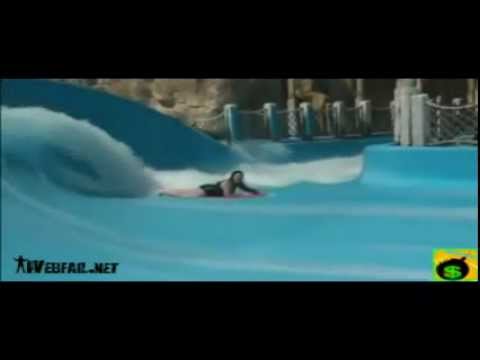 Lady Surfing Fail Funny